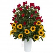 Lata con 60 Rosas Rojas y Girasoles