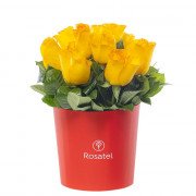 Sombrerera Roja Mediana con 10 Rosas
