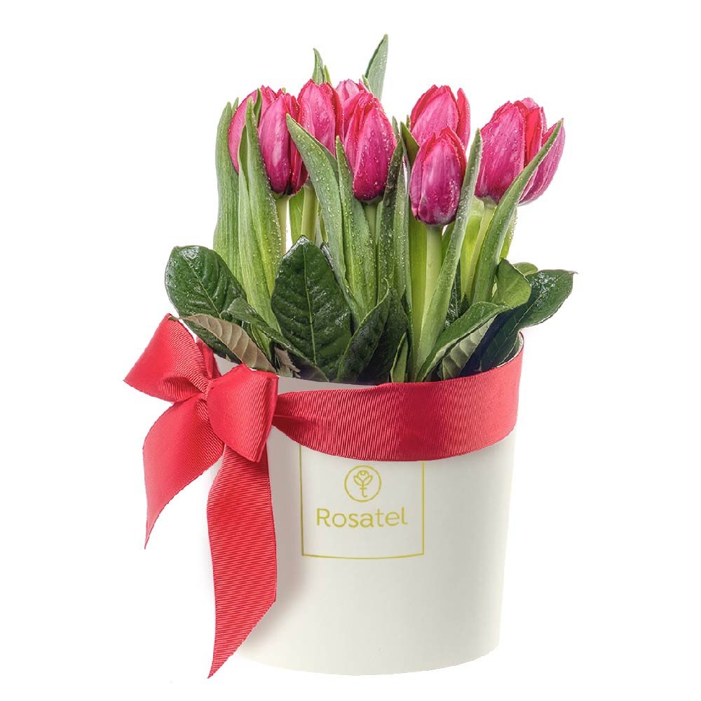 Sombrerera Crema Mediana con Cinta Roja y 10 Tulipanes Rosatel