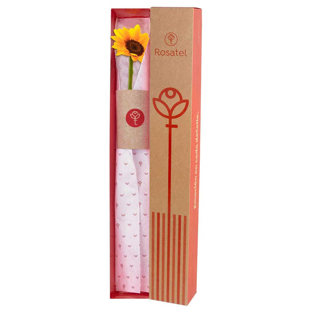 Caja Natural con Girasol Rosatel