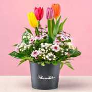 Mini Arreglo Tulipanes y Flores