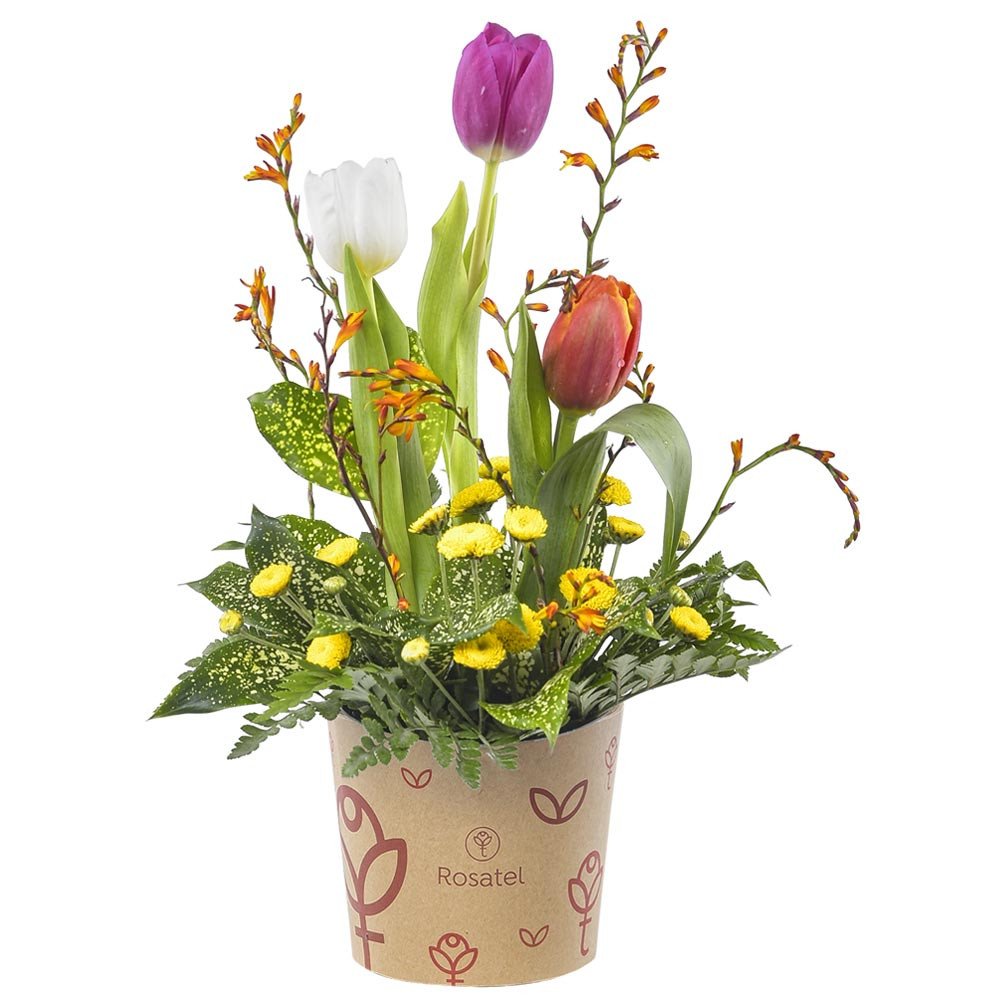 Envío flores sombrerera 3R tulipanes y flores Rosatel Chiclayo