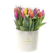 Sombrerera Crema Mediana con 24 Tulipanes Variados