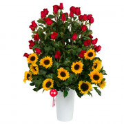 Arreglo Armonía Floral 60 Rosas Rojas y Girasoles