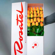 Caja Rosatel 24 Rosas Amarillas