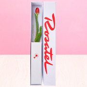 Caja Rosatel con 1 Tulipán