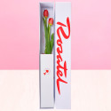 Caja Rosatel con 2 Tulipanes Rosatel
