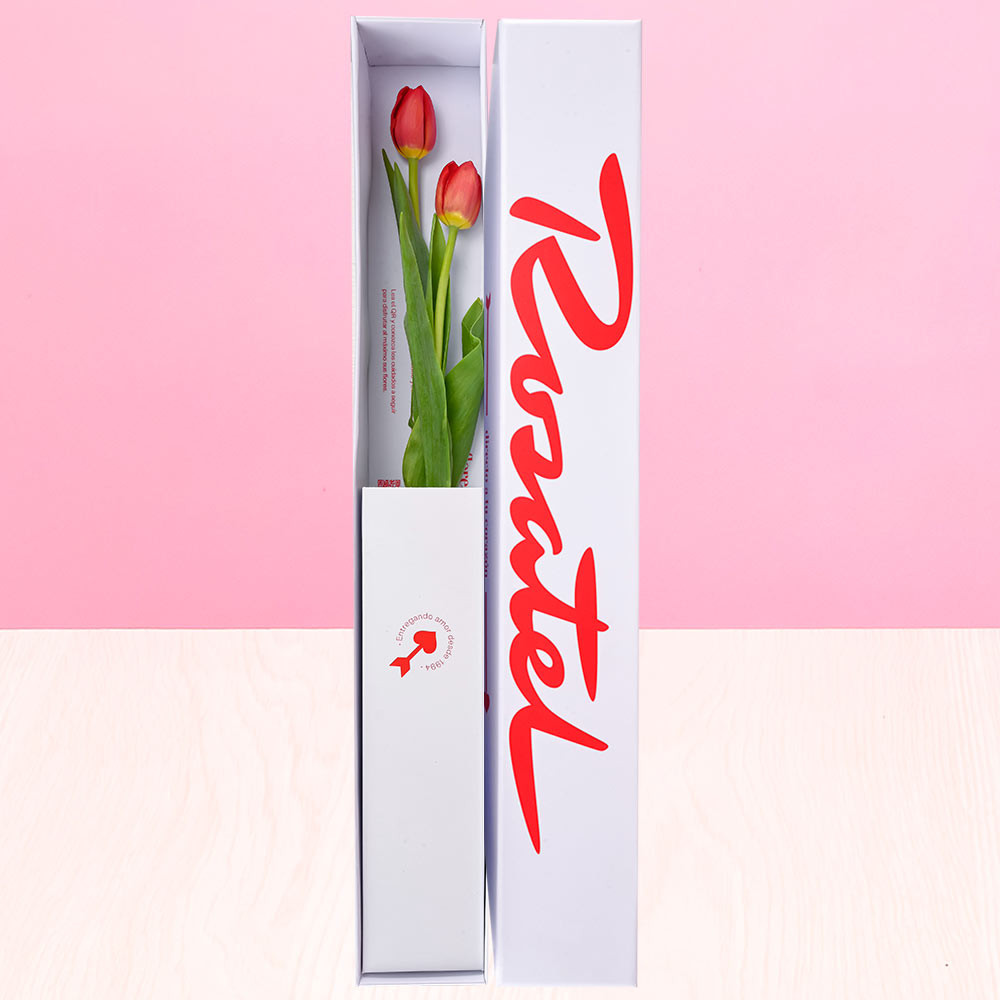 Caja Rosatel con 2 Tulipanes Rosatel