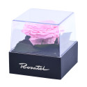 Rosa Preservada en Cubo Rosatel