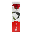 Rosa Preservada Natural Short Rosatel