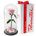 Regalos para cumpleaños rosa encantada rosada satinada Rosatel