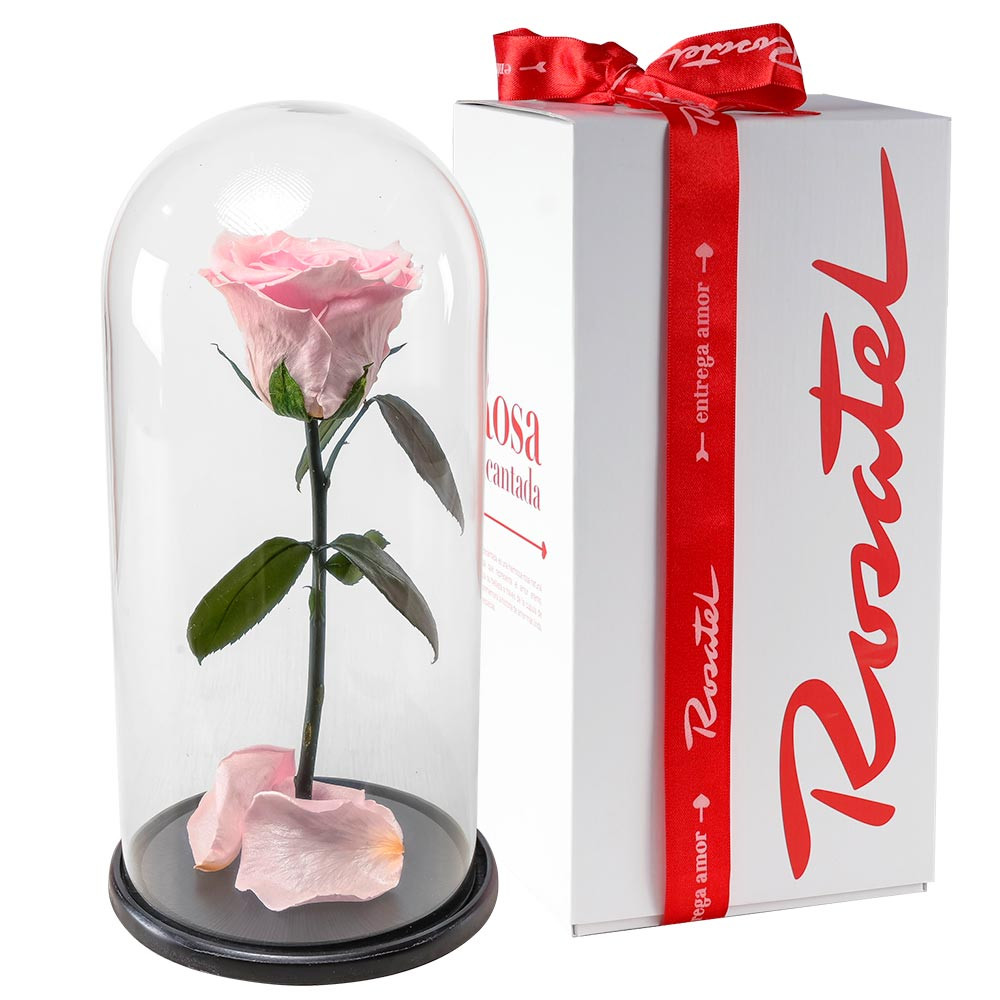 Regalos para cumpleaños rosa encantada rosada satinada Rosatel