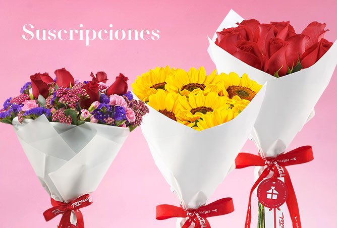 Suscripciones