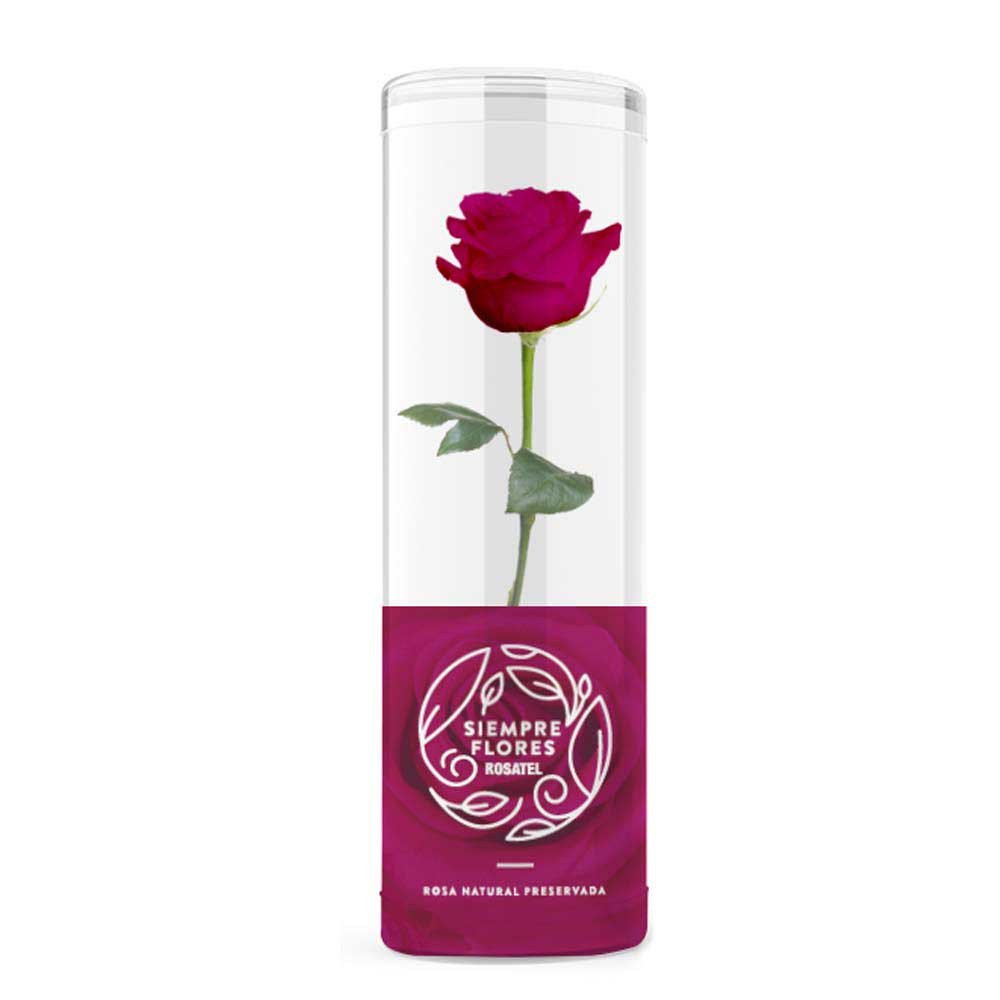 Flores de amor 1 rosa preservada short Rosatel Chimbote