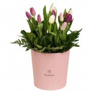 Sombrerera Rosada Grande con 12 Tulipanes