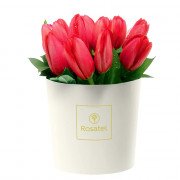 Sombrerera Crema Mediana con 12 Tulipanes