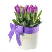 Sombrerera Crema Mediana con Cinta Lila y 10 Tulipanes