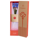 Caja Natural con 6 Tulipanes Azules Rosatel