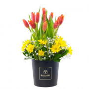 Sombrerera Negra Mediana con 10 Tulipanes y Flores