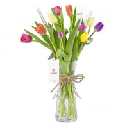 Arreglo con 10 Tulipanes Colores Variados
