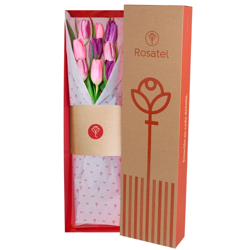 Caja Natural 9 Tulipanes Rosatel
