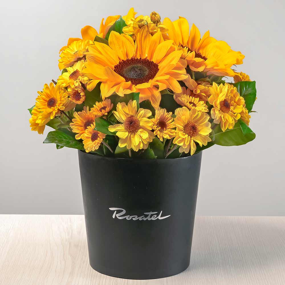 Arreglo floral sombrerera negra mediana con girasoles y flores Rosatel
