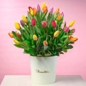 Sombrerera Crema Grande con 40 Tulipanes