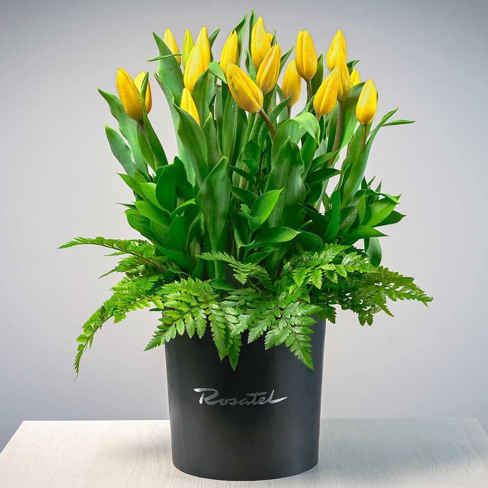 Sombrerera Negra Grande 20 Tulipanes Rosatel