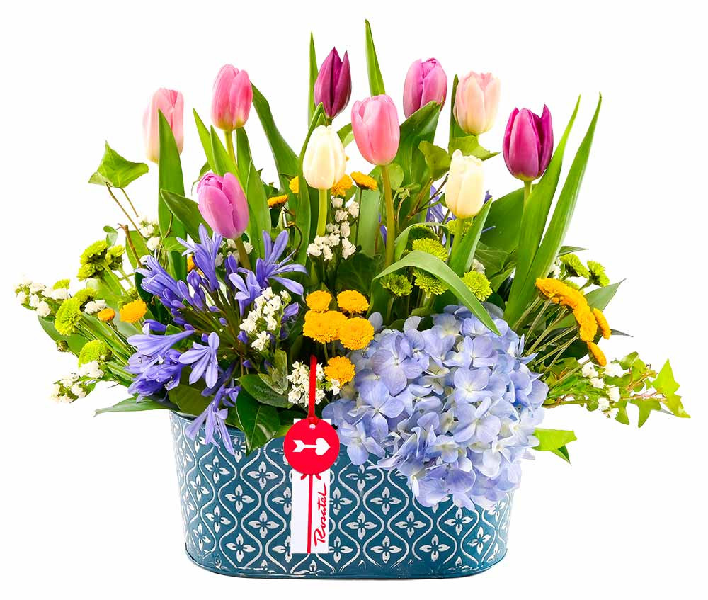 Arreglo Vintage Encanto de Tulipanes Rosatel