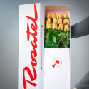 Caja Rosatel 12 Rosas Amarillas Rosatel