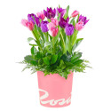 Sombrerera Rosada Grande con 16 Tulipanes Rosatel