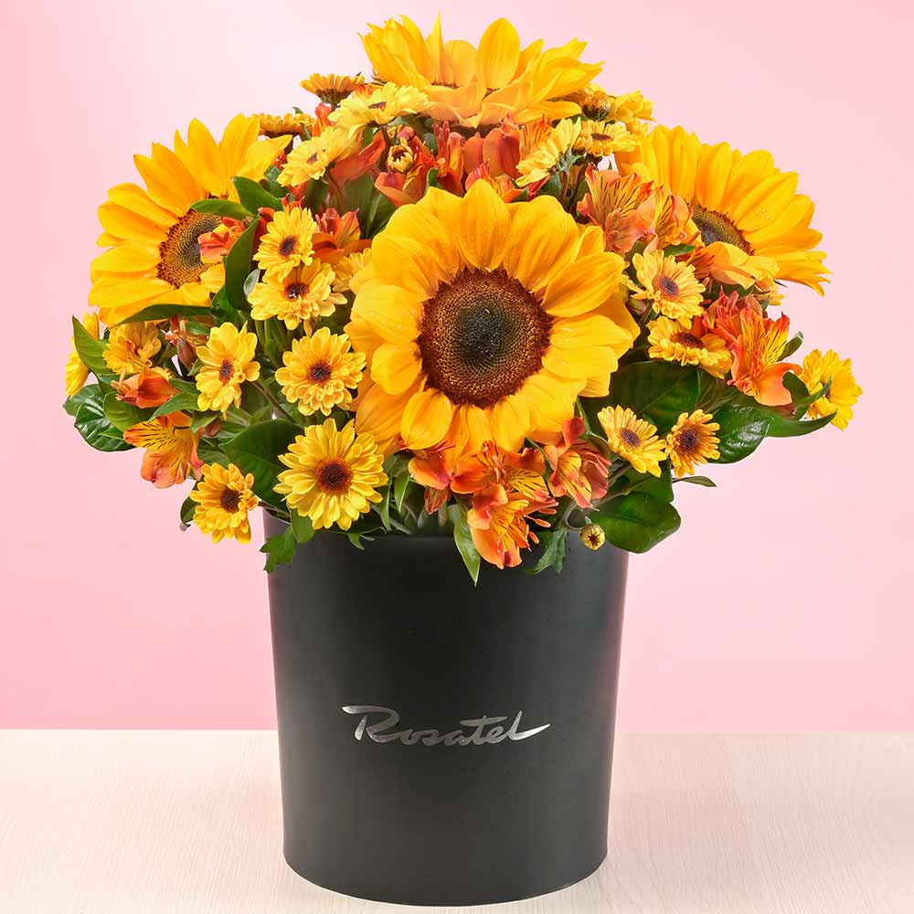 Sombrerera Encanto de Girasoles Rosatel