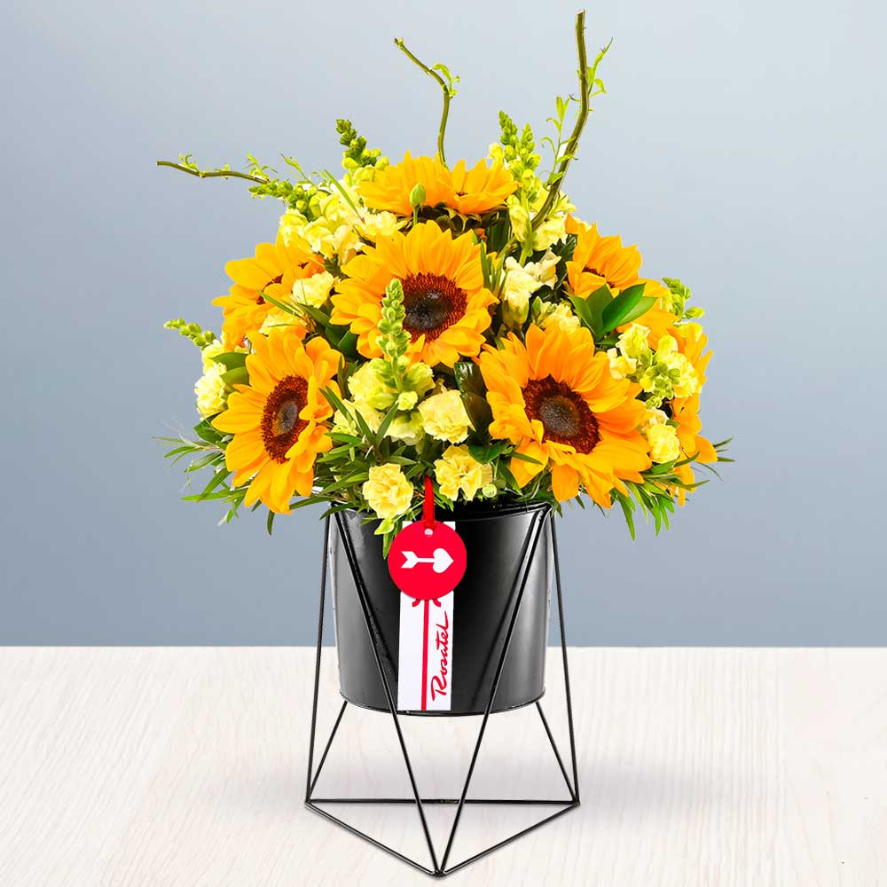 Arreglo Elegancia de Girasoles Rosatel