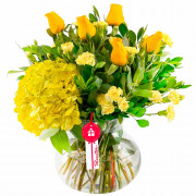 Alegría de Rosas y Flores