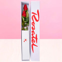 Caja Rosatel con 2 rosas Rosatel
