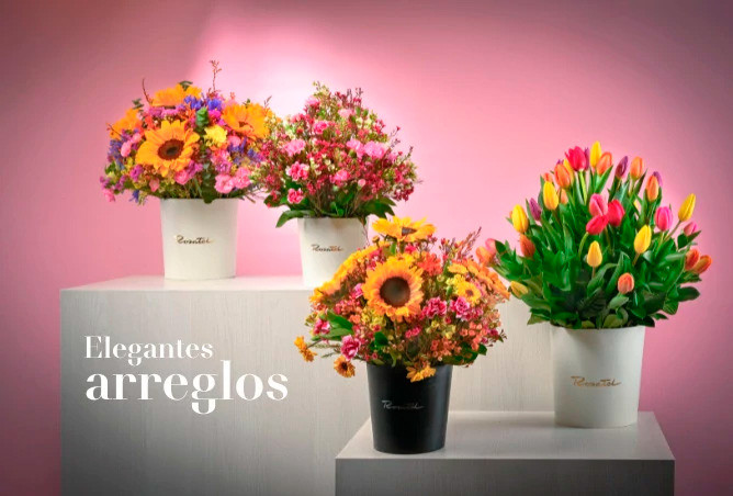 ARREGLOS