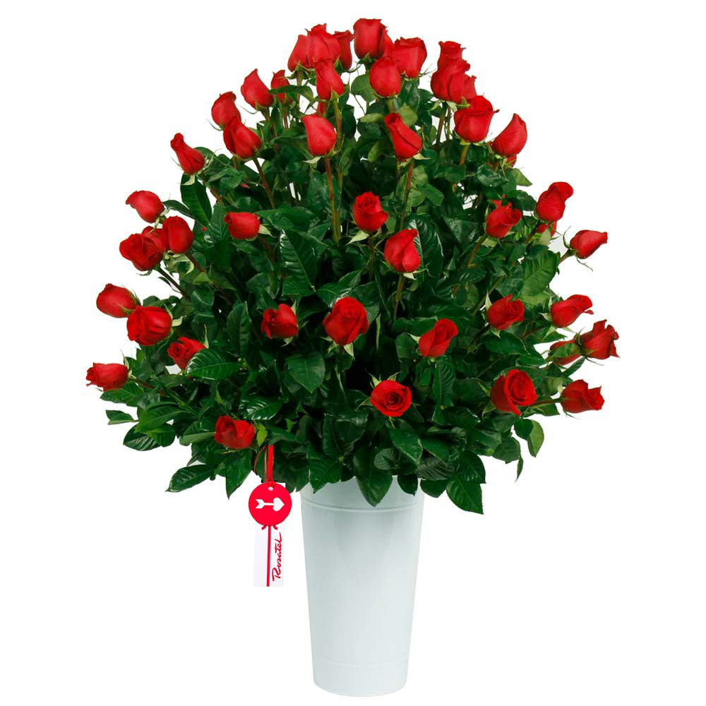 Arreglo con 75 Rosas Rojas Rosatel