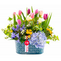 Arreglo Vintage Encanto de Tulipanes Rosatel