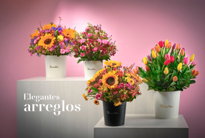 ARREGLOS