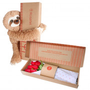 Caja Natural Rosatel 6 Rosas y Bowie