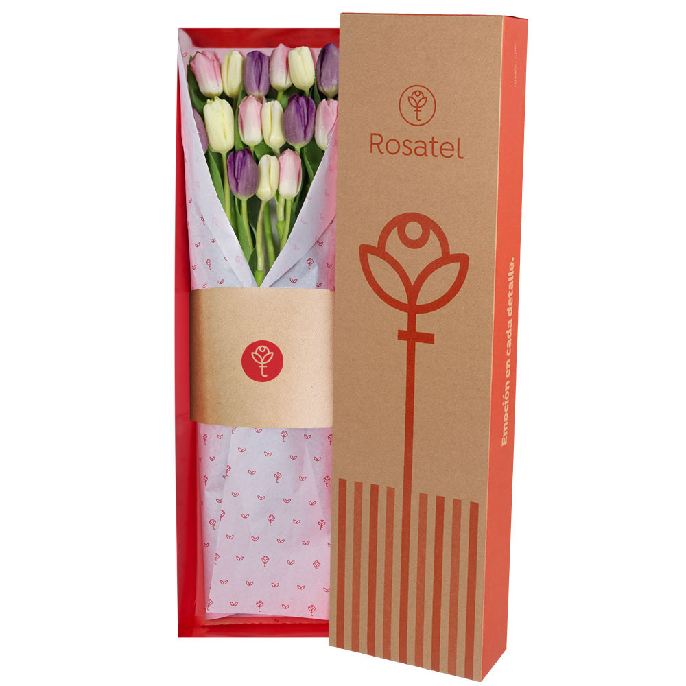 Caja Natural 15 Tulipanes Colores Pasteles Rosatel