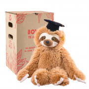 Bowie Graduado
