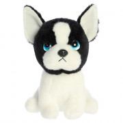 Perrito Boston Harvard Terrier
