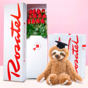 Caja con 12 Rosas y Bowie Graduado