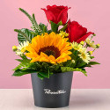 Mini arreglo floral rosas y girasol Rosatel