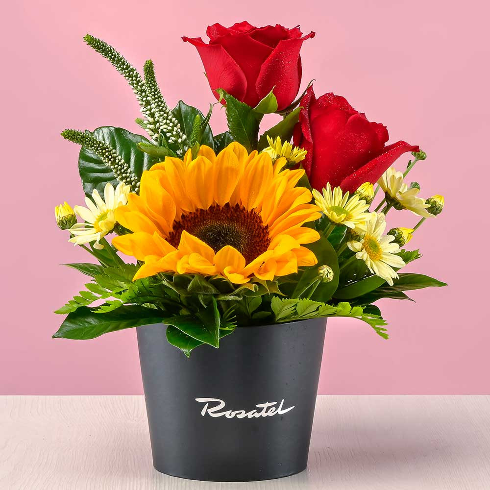 Mini arreglo floral rosas y girasol Rosatel