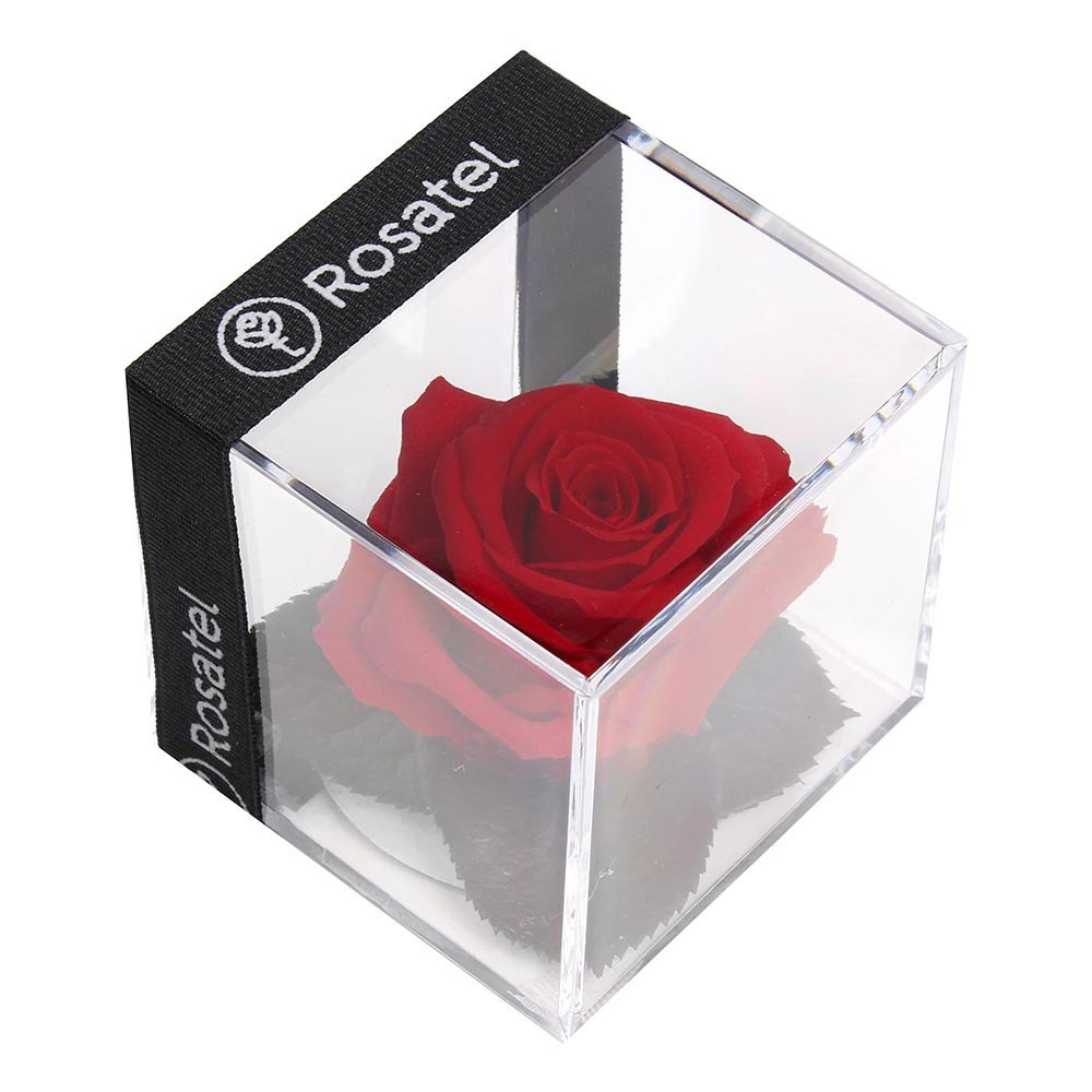 Rosas de amor en cubo con preservada Rosatel Lima