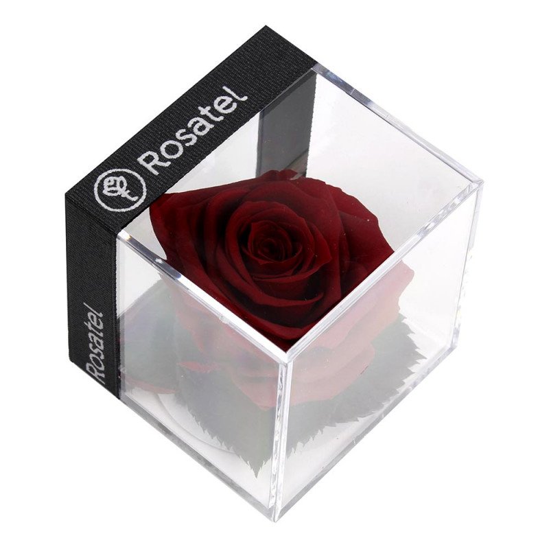 Rosas de amor en cubo con preservada Rosatel Lima