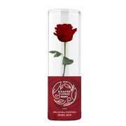 Rosa Preservada Short 100% Natural