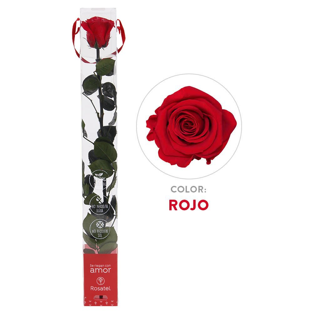 Rosa Roja Preservada 100% Natural Rosatel